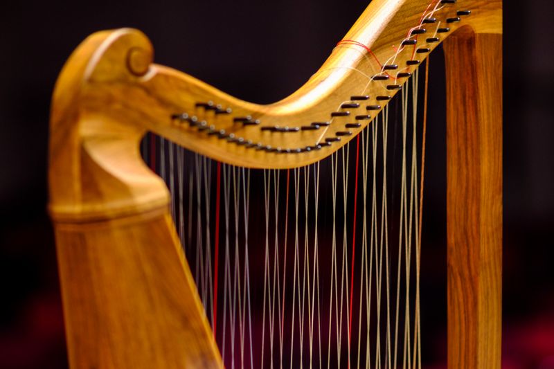 Margarita_kruissnarige_harp